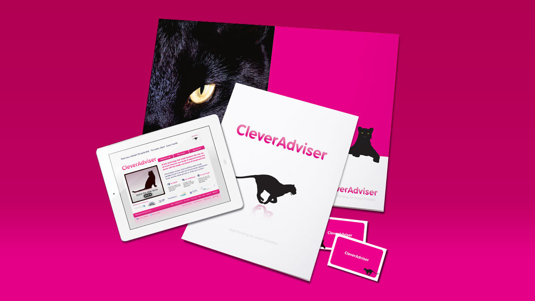 Financial branding for CleverAdviser